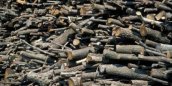 Pile of Logs Pile of Logs