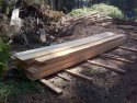 Softwood Softwood